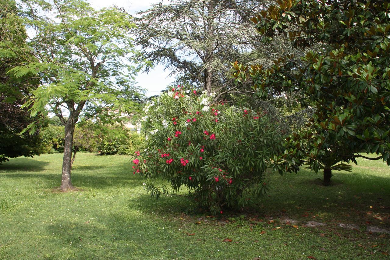 Villa Manon Mouans-Sartoux Bagian luar foto